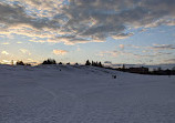 Centennial Park Tobogganing Hill