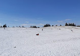 Centennial Park Tobogganing Hill