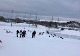 Centennial Park Tobogganing Hill