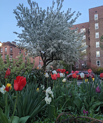 Cobble Hill Park