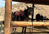 Cowboy Cave Trailhead