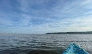 Sandy Hook Kayaks