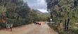 Entrada Parque Natural Sierra de las Nieves