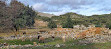 Entrada Parque Natural Sierra de las Nieves