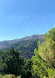 Entrada Parque Natural Sierra de las Nieves