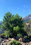 Entrada Parque Natural Sierra de las Nieves