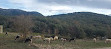 Entrada Parque Natural Sierra de las Nieves