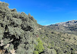 Parque Natural Sierra de Grazalema