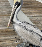 Pompano Beach Fisher Family Pier