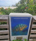 Pompano Beach Fisher Family Pier