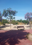 Jardin del Desierto