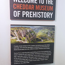 Museum of Prehistory