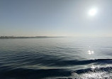 Kornati Bucht Excursion