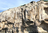 Kornati Bucht Excursion