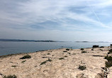 Kornati Bucht Excursion