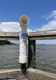 Downs Park Public Pier