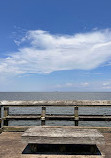 Downs Park Public Pier