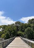 Downs Park Public Pier