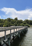 Downs Park Public Pier