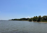 Downs Park Public Pier