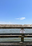 Downs Park Public Pier