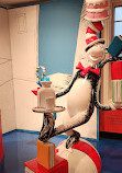 The Amazing World of Dr. Seuss Museum