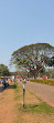 The Cross Of Basilica Bom Jesus