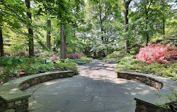 Azalea Garden