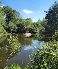 Bronx River Forest