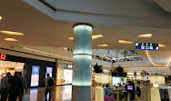 Mall of İstanbul AVM TWIGY İSTANBUL