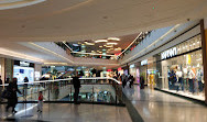 Mall of İstanbul AVM TWIGY İSTANBUL