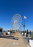 The Capital Wheel