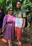 Sahakari Spice Farm