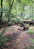 Long Branch Stream Valley Park