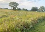 Sedgwick County Park