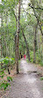 Shingle Creek Trailhead