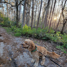 Shingle Creek Trailhead