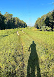 Shingle Creek Trailhead