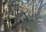 Shingle Creek Trailhead