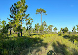 Shingle Creek Trailhead