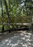 Shingle Creek Trailhead