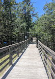 Shingle Creek Trailhead