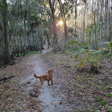 Shingle Creek Trailhead