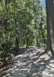 Shingle Creek Trailhead