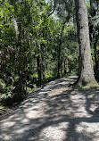 Shingle Creek Trailhead