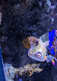 Bristol Aquarium