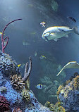 Bristol Aquarium