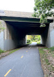 Cochituate Brook Reservation Trail