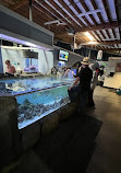 Aquarium of Boise