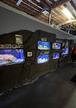 Aquarium of Boise